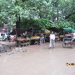 Indien_2010_013.jpg