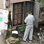 Indien_2010_1066.jpg