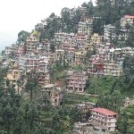 Indien_2010_1068.jpg