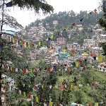 Indien_2010_1079.jpg