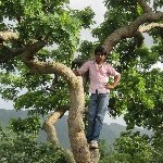 Indien_2010_183.jpg