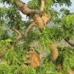 Indien_2010_200.jpg