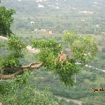 Indien_2010_205.jpg