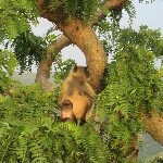 Indien_2010_210.jpg