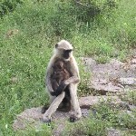 Indien_2010_211.jpg