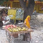 Indien_2010_264.jpg