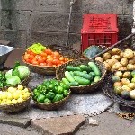 Indien_2010_318.jpg