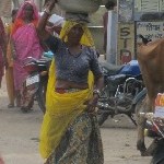 Indien_2010_322.jpg