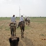 Indien_2010_345.jpg
