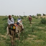 Indien_2010_349.jpg