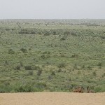 Indien_2010_363.jpg
