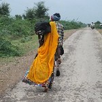 Indien_2010_563.jpg