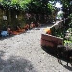 Indien_2010_786.jpg