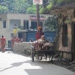 Indien_2010_796.jpg