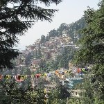 Indien_2010_856.jpg