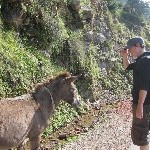 Indien_2010_860.jpg