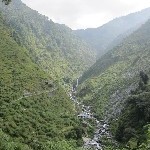 Indien_2010_870.jpg