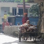 Indien_2010_904.jpg