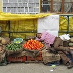 Indien_2010_905.jpg