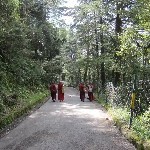 Indien_2010_944.jpg