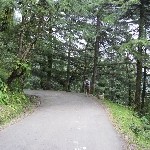 Indien_2010_990.jpg