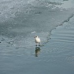 IMG_8290.jpg