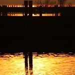 IMG_8334.jpg