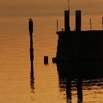 IMG_8336.jpg