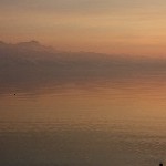 IMG_8366.jpg