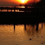 IMG_8371.jpg