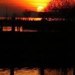 IMG_8378.jpg