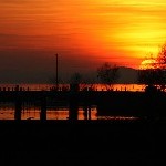 IMG_8382.jpg
