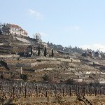 IMG_8400.jpg