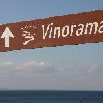 IMG_8411.jpg