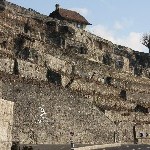 IMG_8423.jpg
