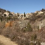 IMG_8482.jpg