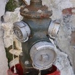 IMG_8501.jpg