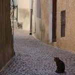 IMG_8505.jpg