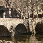 IMG_8523.jpg