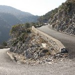 IMG_8537.jpg