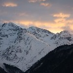 IMG_8558.jpg