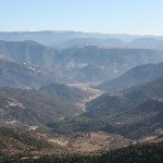 IMG_8594.jpg