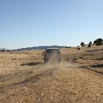 IMG_8610.jpg