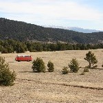 IMG_8674.jpg