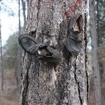 IMG_8695.jpg