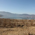 IMG_8698.jpg