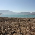IMG_8719.jpg
