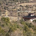 IMG_8733.jpg