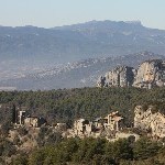 IMG_8737.jpg