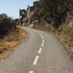 IMG_8745.jpg